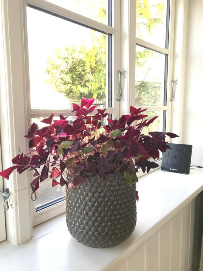 Bnb Thuroe Svendborg Extérieur photo