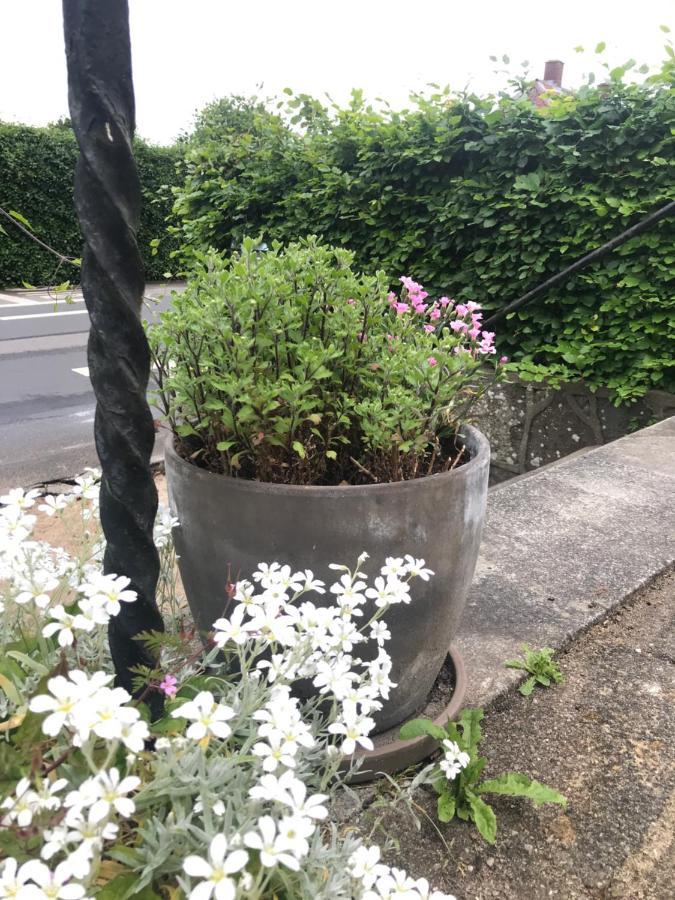 Bnb Thuroe Svendborg Extérieur photo