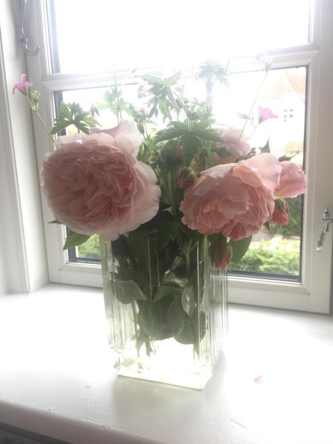 Bnb Thuroe Svendborg Extérieur photo